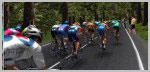Pro Cycling Manager