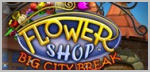 Flower Shop - Big City Break