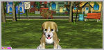 Puppy Luv